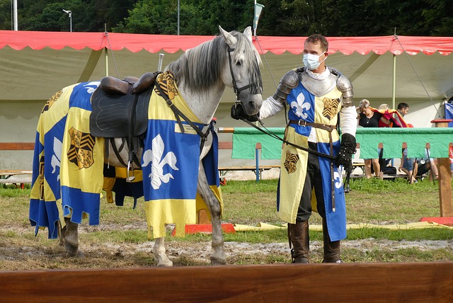 上不仅仅作 上不仅仅作