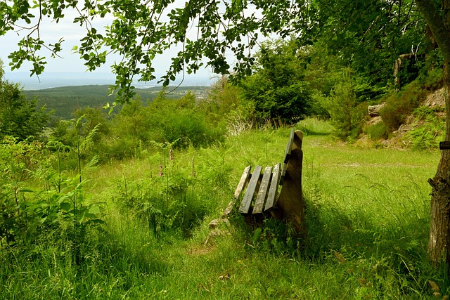 应能力时显 应能力时显