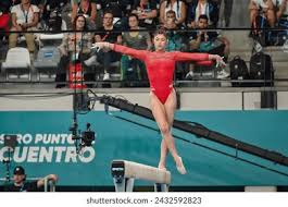 能力闻名于 能力闻名于