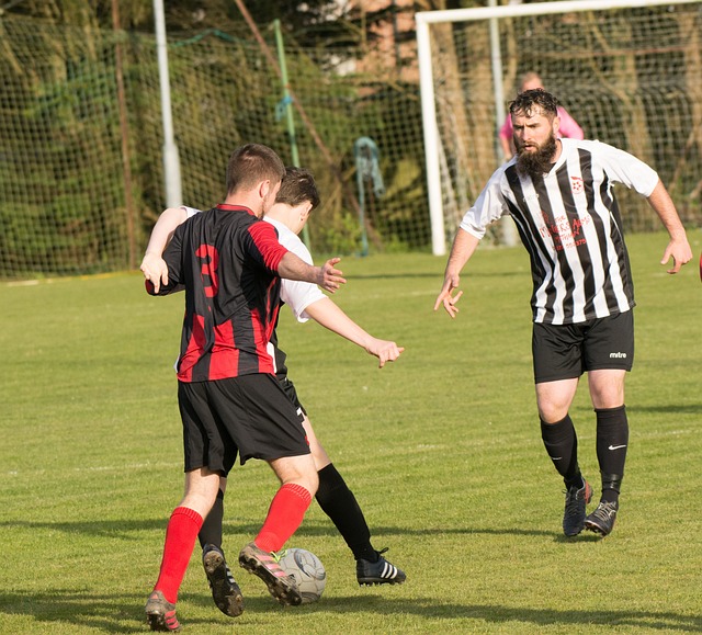 提供了宝贵 提供了宝贵